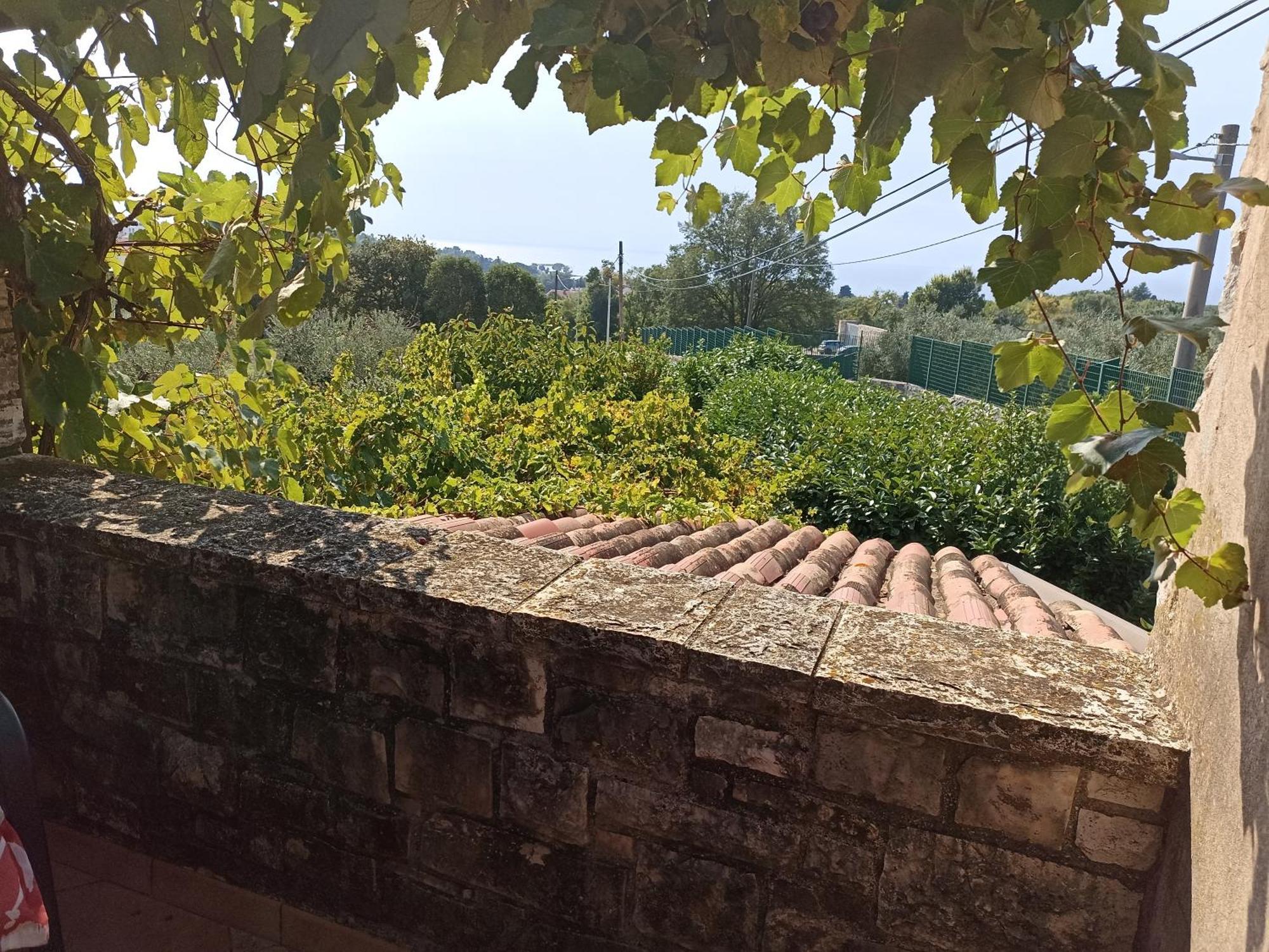 Hedra Zambratija (Istria) Exterior foto